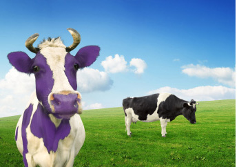 Purple cow, blue sky, green grass