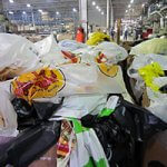 Plastic bags ready to be recycled