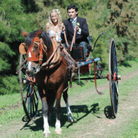 Horse-drawn carriage getaway