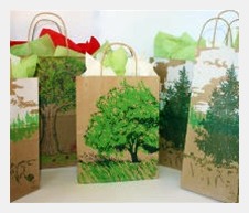 Gift `n Grow bags