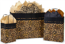 Leopard Safari