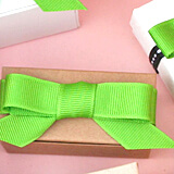 The elegant bow