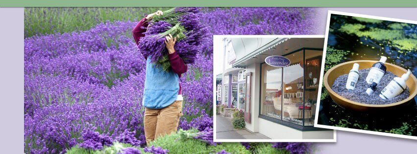 Purple Haze Lavender Farm