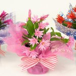Easy Plant Wrap for Mother's Day