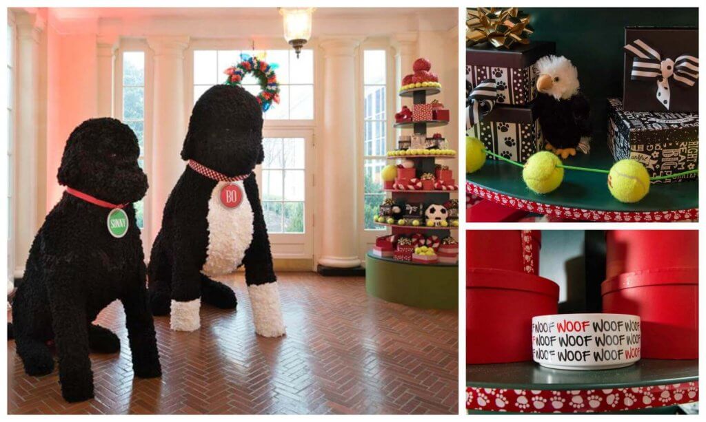 White House Christmas Dogs Bo Sunny