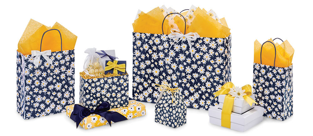 navy daisy